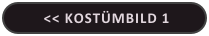 << Kostümbild 1